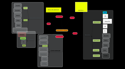 Mind Map: ÇEVRE VE EKOLOJİ SON HALİ
