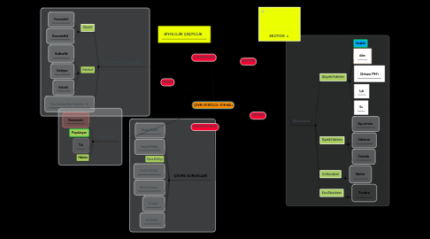 Mind Map: ÇEVRE VE EKOLOJİ  SON HALİ