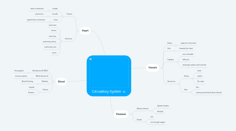 Mind Map: Circulatory System