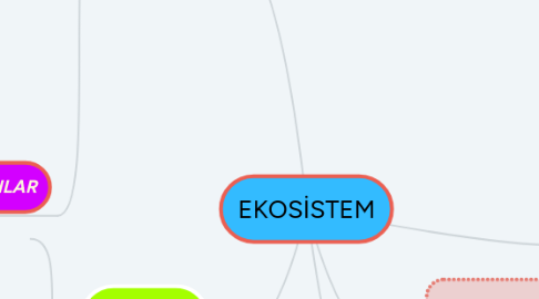 Mind Map: EKOSİSTEM