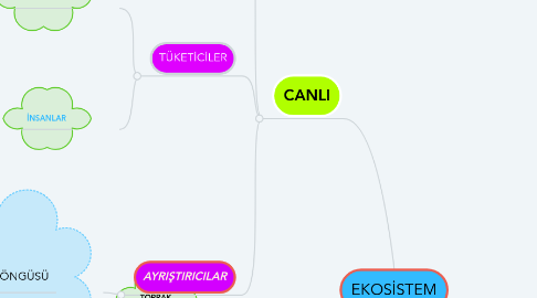 Mind Map: EKOSİSTEM