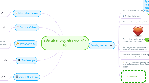 Mind Map: Bản đồ tư duy đầu tiên của tôi