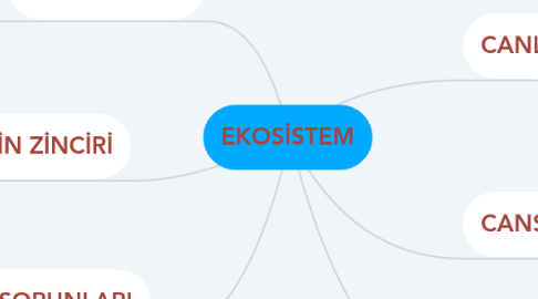 Mind Map: EKOSİSTEM