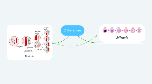 Mind Map: Differences