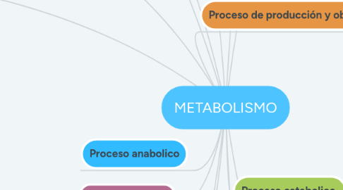 Mind Map: METABOLISMO