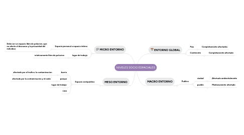 Mind Map: NIVELES SOCIO ESPACIALES