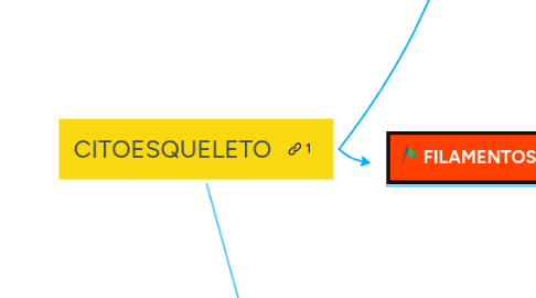 Mind Map: CITOESQUELETO