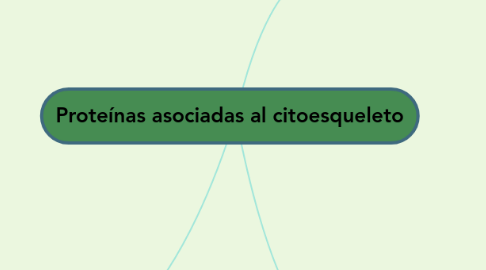 Mind Map: Proteínas asociadas al citoesqueleto