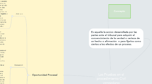 Mind Map: Las Pruebas en el procedimiento Civil venezolano