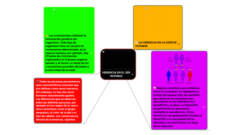 Mind Map: HERENCIA EN EL SER HUMANO