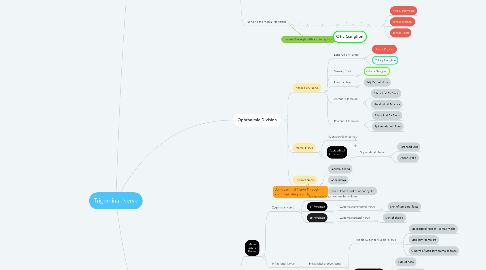 Mind Map: Trigeminal Nerve