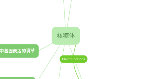 Mind Map: 核糖体