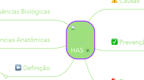 Mind Map: HAS