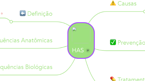 Mind Map: HAS