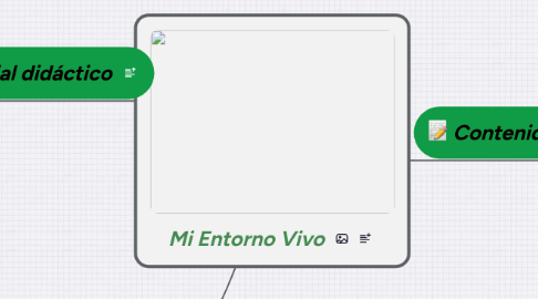 Mind Map: Mi Entorno Vivo