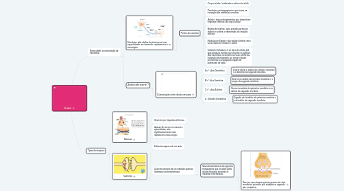 Mind Map: Sinapse