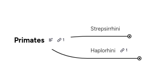 Mind Map: Primates
