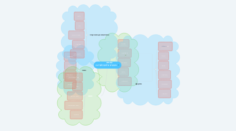 Mind Map: китайский магазин