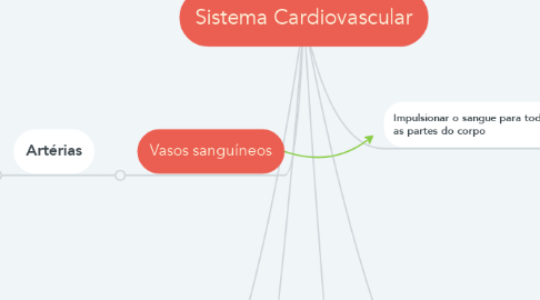 Mind Map: Sistema Cardiovascular