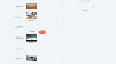 Mind Map: It must be an earthquake! Vocabulary Unit 10