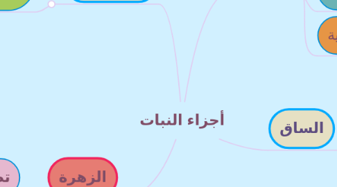 Mind Map: أجزاء النبات