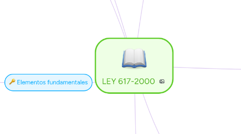 Mind Map: LEY 617-2000