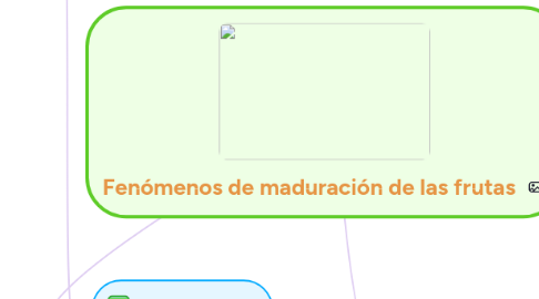 Mind Map: Fenómenos de maduración de las frutas