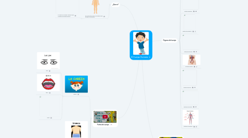 Mind Map: El Cuerpo Humano