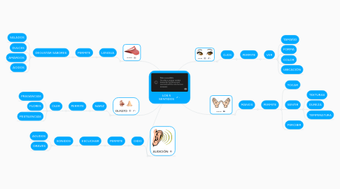 Mind Map: LOS 5 SENTIDOS