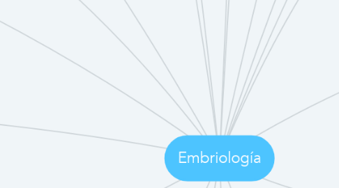 Mind Map: Embriología