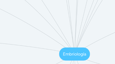 Mind Map: Embriología