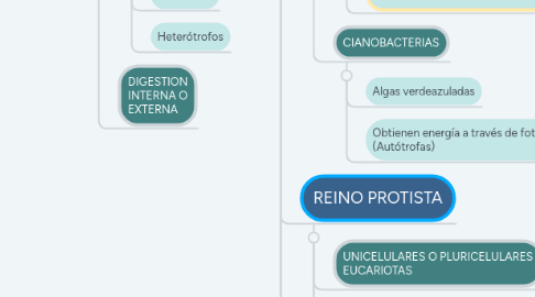 Mind Map: SERES VIVOS