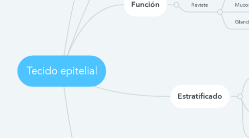 Mind Map: Tecido epitelial