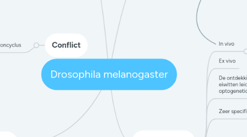 Mind Map: Drosophila melanogaster