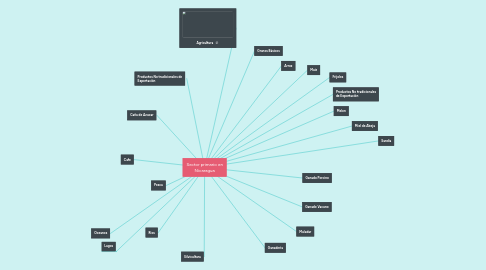 Mind Map: Sector primario en Nicaragua