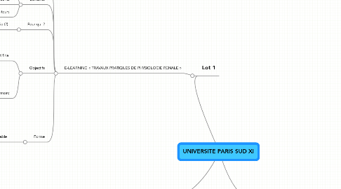 Mind Map: UNIVERSITE PARIS SUD XI