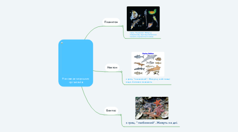 Mind Map: Різновиди морських організмів