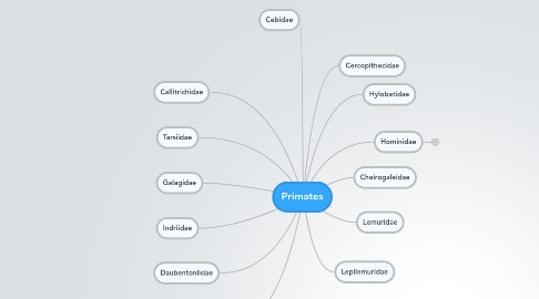 Mind Map: Primates