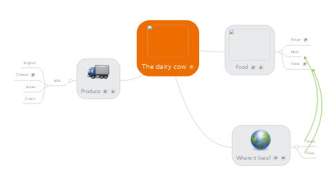 Mind Map: The dairy cow