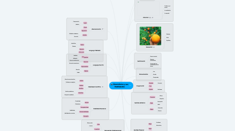 Mind Map: Hemisferios y sus Habilidades