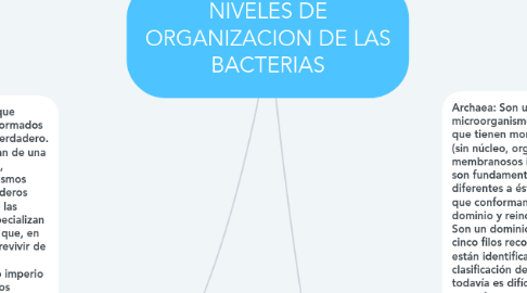 Mind Map: NIVELES DE ORGANIZACION DE LAS BACTERIAS