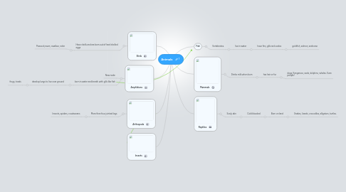 Mind Map: Animals