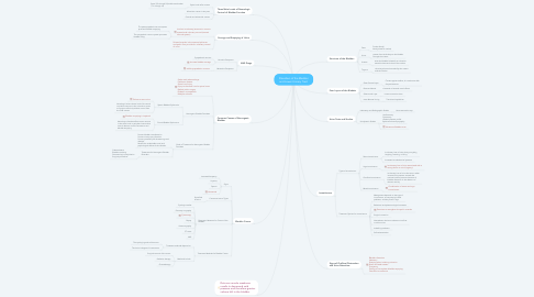 Mind Map: Disorders of the Bladder and Lower Urinary Tract