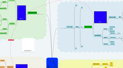 Mind Map: Biosíntesis de Macromoléculas