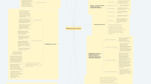 Mind Map: Жизненный путь систем