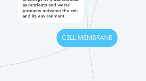 Mind Map: CELL MEMBRANE