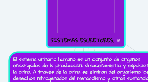 Mind Map: Estadística Descriptiva