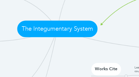 Mind Map: The Integumentary System