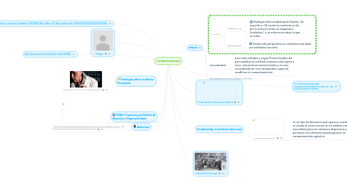 Mind Map: Conducta humana