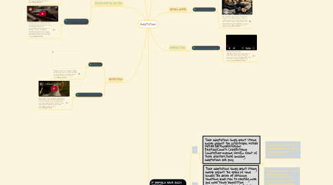 Mind Map: Adaptations